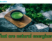 What are natural energizers?