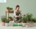 plant care