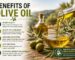 Benefits of olive oil